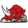 Cambs Rhino Skip Bags