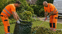 Garden Clearance